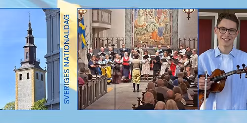 Kom och fira Sveriges nationaldag