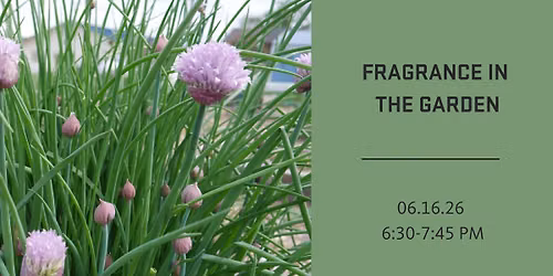 Fragrance in the Garden