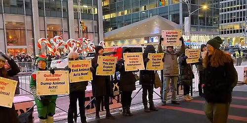 NYC: Protest Radio City Music Hall for Using Live Animals!