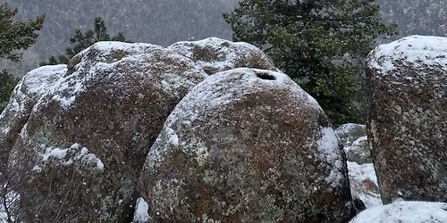 Sellstate Altitude Property Shred Event