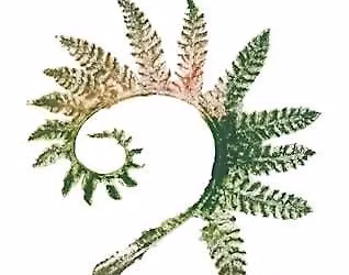 The Refresh and Reset Wellness Workshop