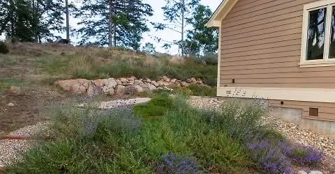 Creating a Beautiful and Firewise Landscape