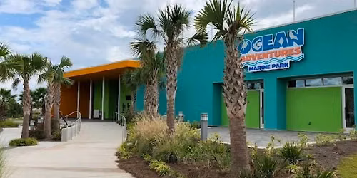 Institute For Marine Mammal Studies