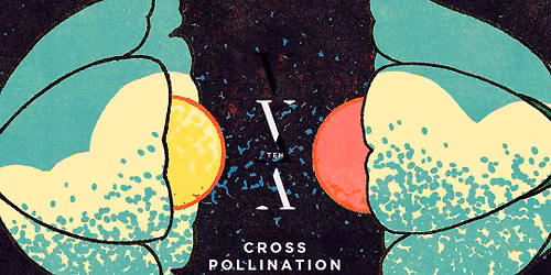 Lane 8 B2B Paris - Cross Pollination (TNH)
