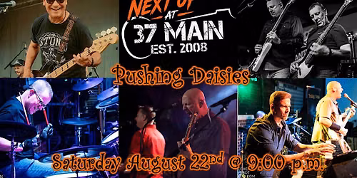 Weekend Party Band Near Atlanta \u2013 Pushing Daisies Live at 37 Main