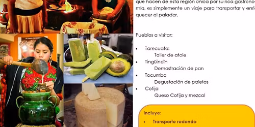 SABORES DE MI TIERRA MICHOACANA