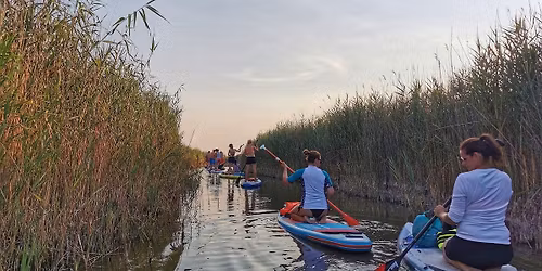 Sup t\u00f6lt\u0151d\u00e9s a Velencei t\u00f3 n\u00e1dasaiban 