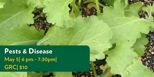 Pest & Disease: How to Prepare for Pests