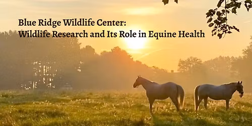 Blue Ridge Wildlife: Wildlife Research and its Role in Equine Health