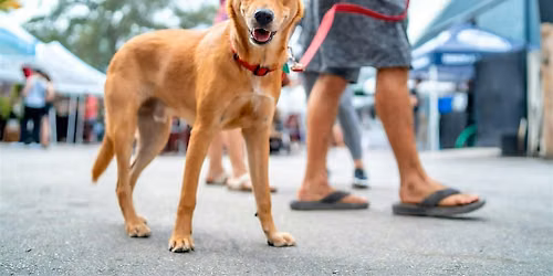 Doggy Fest by The Flamingo Flea
