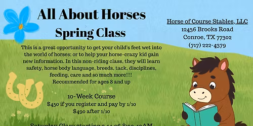 All About Horses Saturday Class