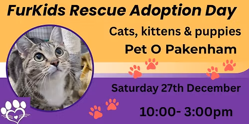 Adoption Day- Saving lives!!!