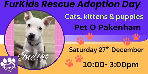 Adoption Day- Saving lives!!!