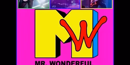 Mr Wonderful: The 80's Experience