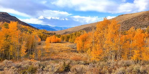 Mt. Patterson Trail Run to Belfort Ghost Town