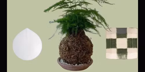Winter Kokedama Making - perfect nature gift\u2728