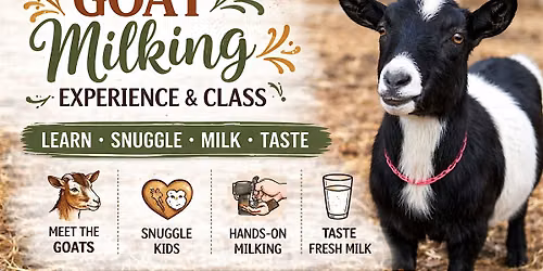 Goat Milking Experience and Class