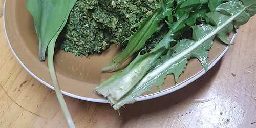 Forage, Feast & Ferment: A Wild Foods & Gut Health Experience