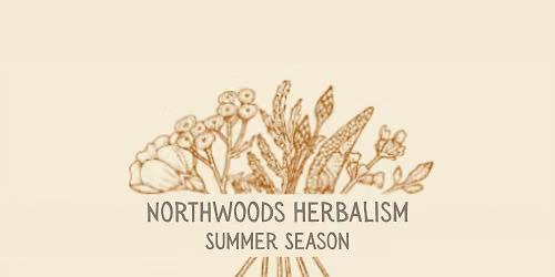 Summer Northwoods Herbalism