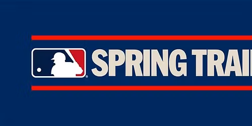 Spring Training - Atlanta Braves at Minnesota Twins at Lee Health Sports Complex