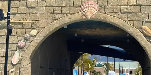 CARNIVAL MARDI GRAS CRUISE