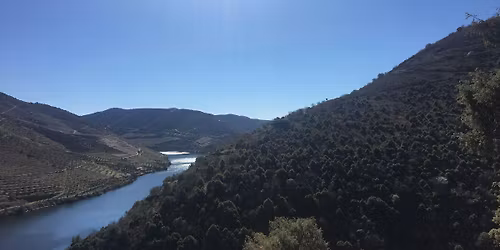 Sail Cargo Douro Valley Wine tasting