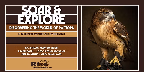 Soar & Explore: Discovering the World of Raptors
