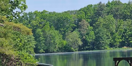 Rooted & Rising Community Collective: Recovery Centered 