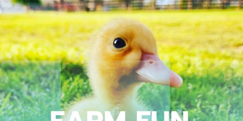 Farm Day Pass