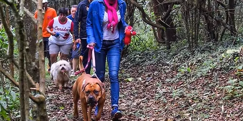 Hike With Dogs
