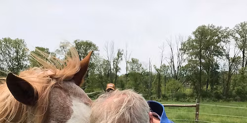 Herd Meditation 2025