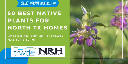 50 Best Native Plants for North Texas Homes