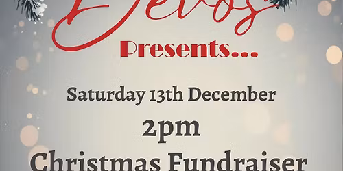 Christmas Fundraiser @ DeVos