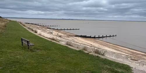 Grain Beach Clean