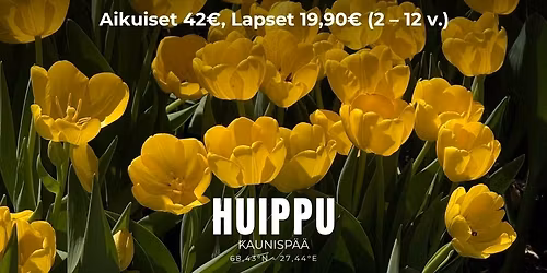 Huipun vappubrunssi \ud83c\udf88