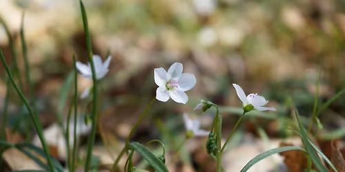 Member Exclusive: Springtime Bike Tour