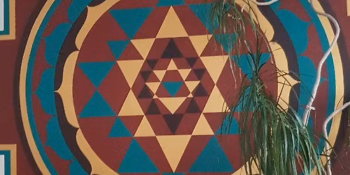 Kr\u0105g dla wegan\/ek