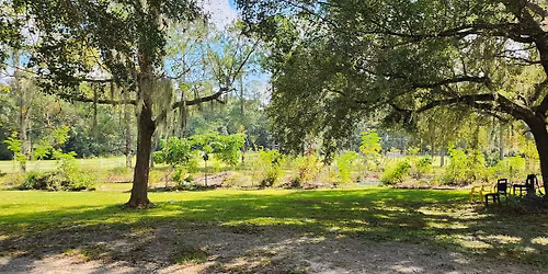 Permablitz + Potluck at Josh & Julie\u2019s (Brooksville, FL)