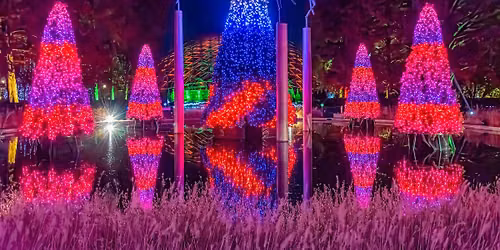 Garden Glow