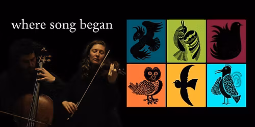 Where Song Began - Barrenjoey High School - A cinematic concert celebrating Australia's birds