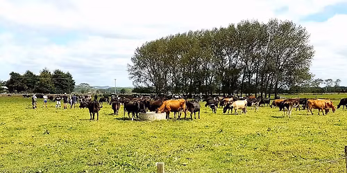P3 Field Day - from bore to bail - smarter water, smarter cowshed