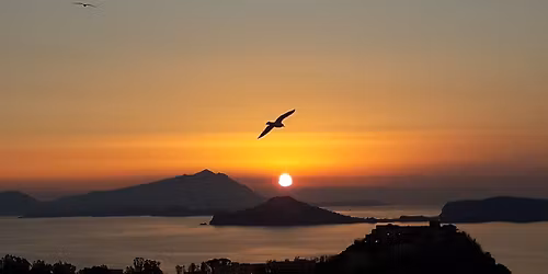 LA MAGIA DEL FARO, DEL TRAMONTO E DELLA LUNA PIENA