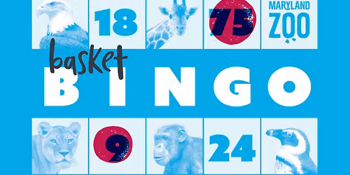 Winter Basket Bingo