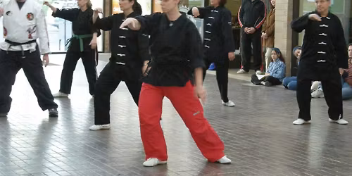 Free Community Tai Chi Workshop