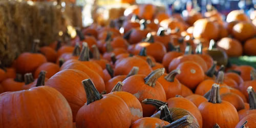 Final Farmers Market & Pumpkin Patch