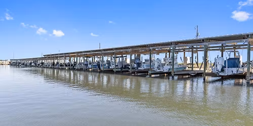 Dogs in a Pile (4-Day Pass)(21+)