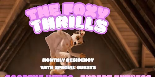 The Foxy Thrills Monthly Residency w\/s\/g Expert Witness and Goodbye Metro