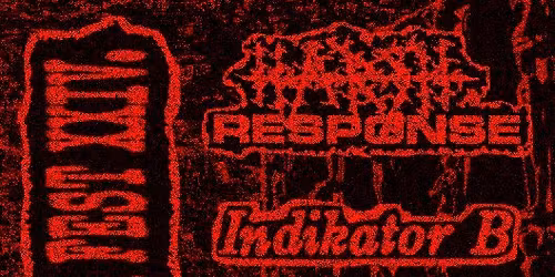 ANTIFA FEST XXIV.: HARSH RESPONSE (Hardcore Punk) + INDIKATOR B (Hardcore Punk)+ DISARMAMENT (Crust)