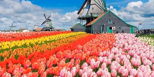 Departure K-Town: Amsterdam & the Keukenhof Gardens