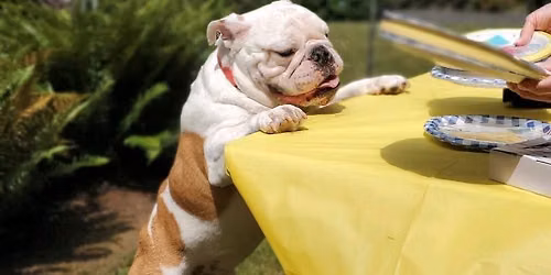 2026 BCGS Bulldog Summer Picnic
